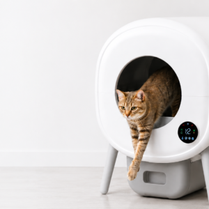 arenero automatico para gatos