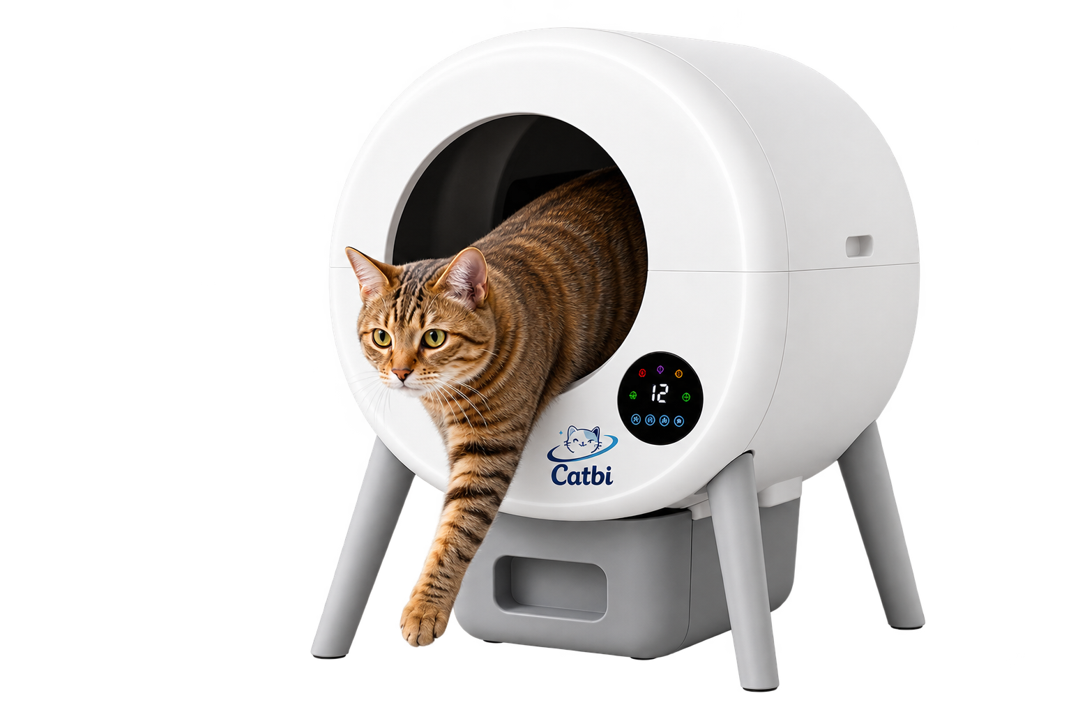 cat box business intelligence